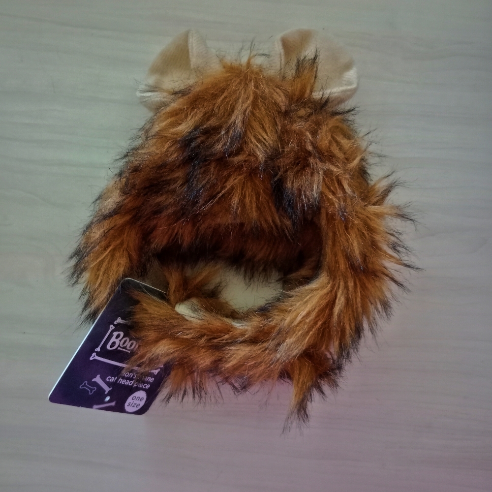 Lion Halloween Hat for Pets 🦁🐕🐈